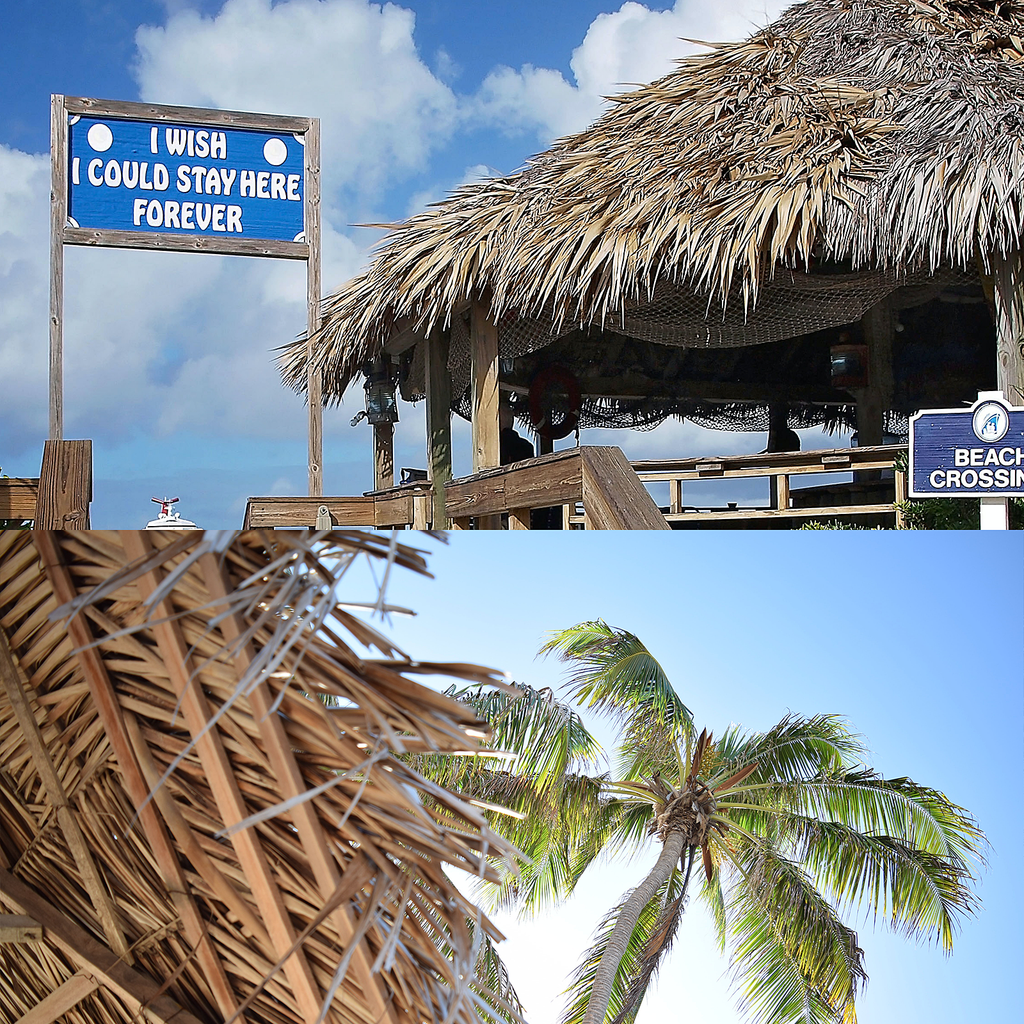 Artificial Palm Thatch Roll | Tiki Roof Cover for Garden, Patio & Tiki Bar
