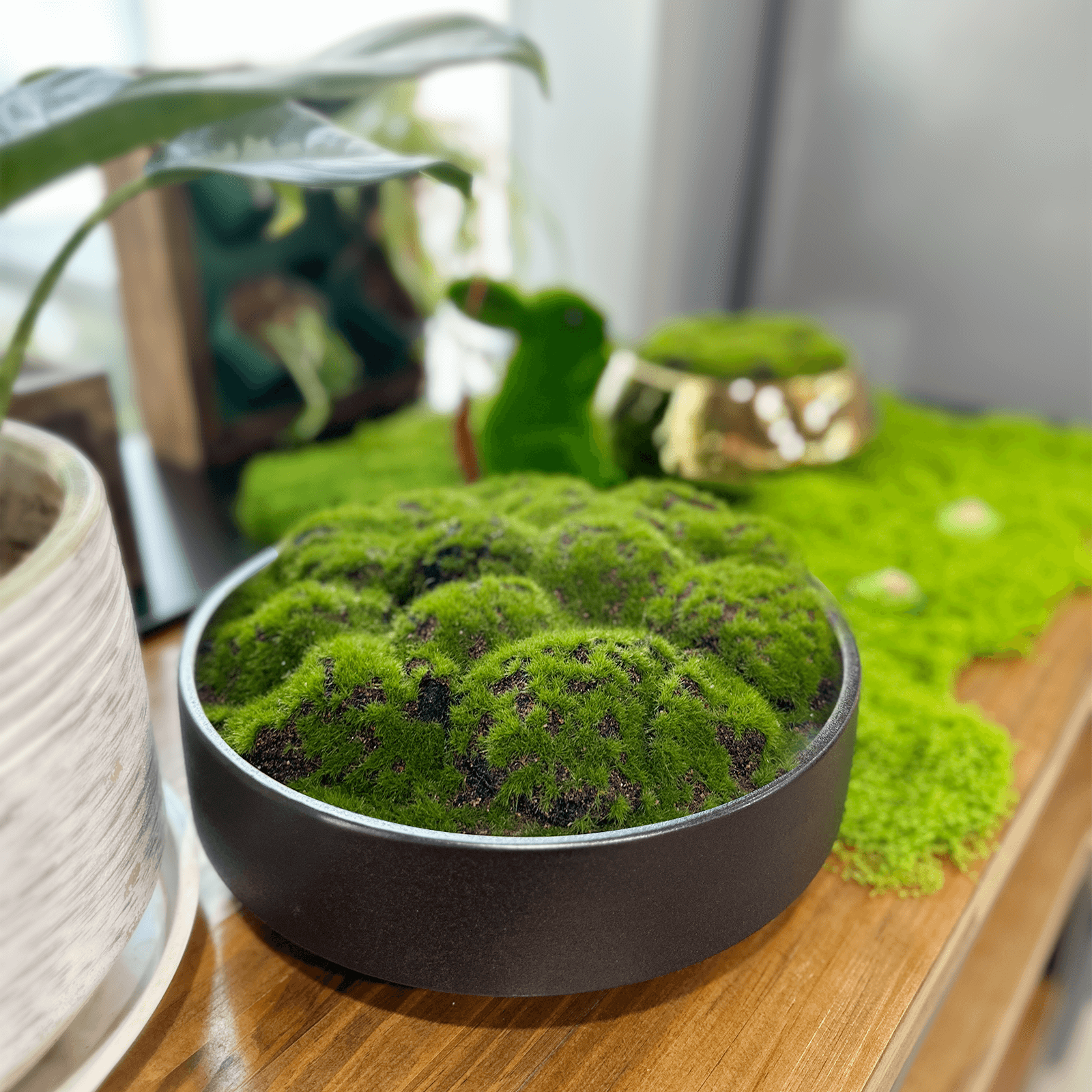 NAHARO Artificial Moss Bowl Centerpiece – Black Ceramic, 11 in