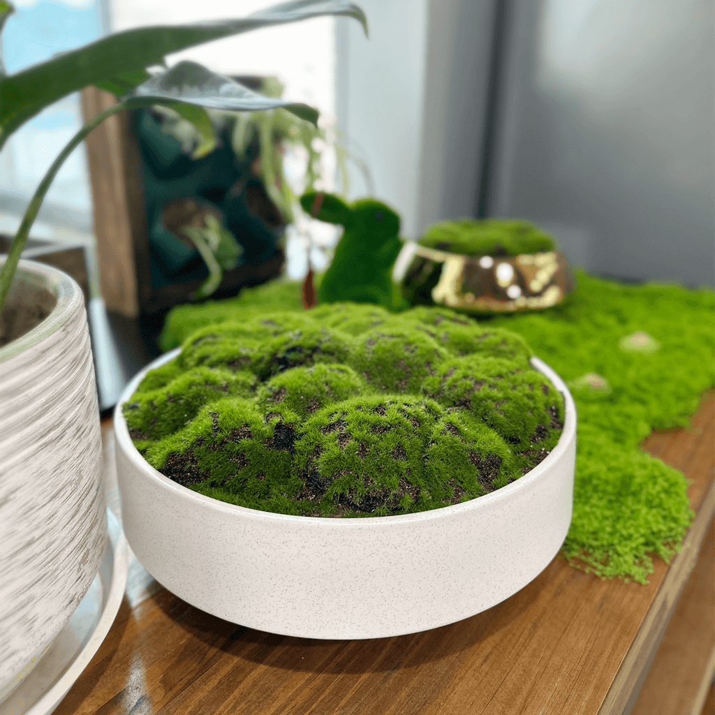 NAHARO Artificial Moss Bowl Centerpiece – White Ceramic, 11 in