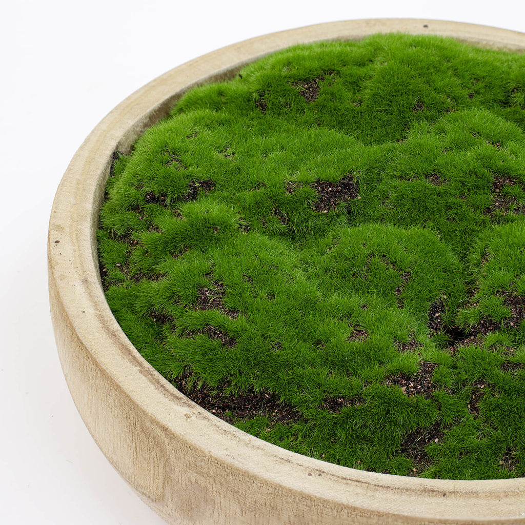 NAHARO Round Artificial Moss Bowl – Natural Wood, 10.5 in