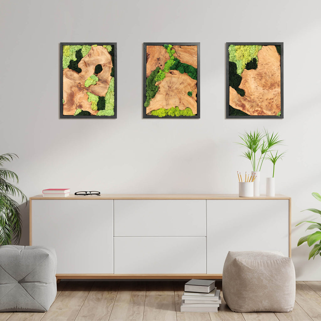 NAHARO Preserved Moss & Natural Wood Wall Art – Set of 3, 16 × 12 in