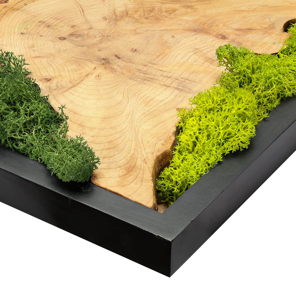 NAHARO Preserved Moss & Natural Wood Wall Art – Set of 3, 16 × 12 in