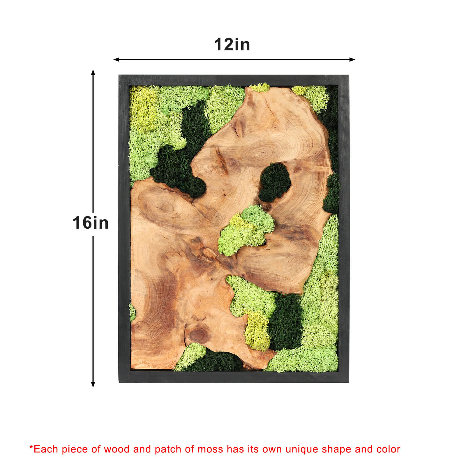 NAHARO Preserved Moss & Natural Wood Wall Art – Set of 3, 16 × 12 in