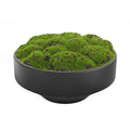 NAHARO artificial moss bowl in black ceramic, 11 x 5.3 inches