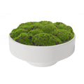 NAHARO artificial moss bowl in white ceramic, 11 x 5.3 inches