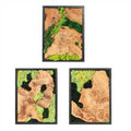 NAHARO handcrafted preserved moss and natural wood wall art, set of three