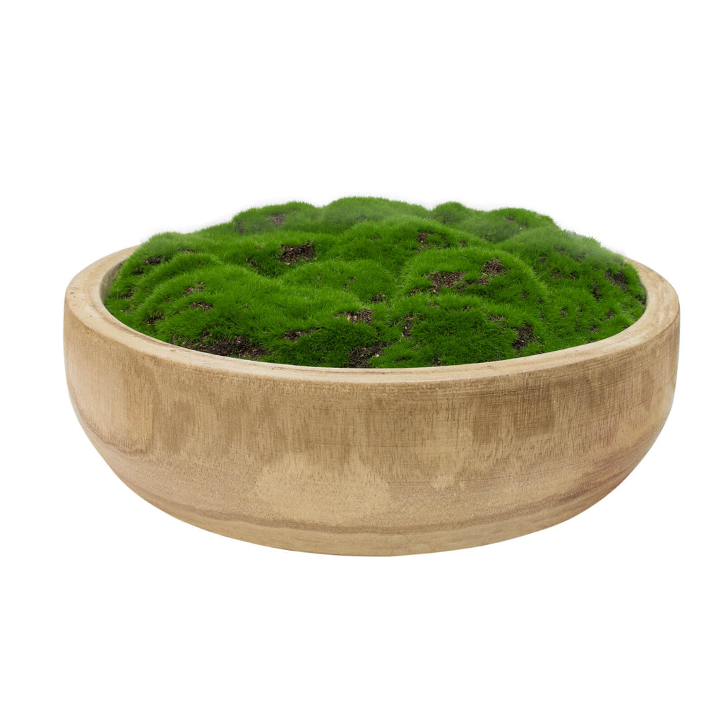 NAHARO round natural wood bowl with artificial moss, 10.5 inches